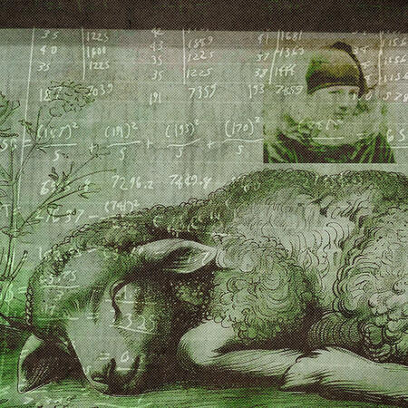 "the hellion" (2025)